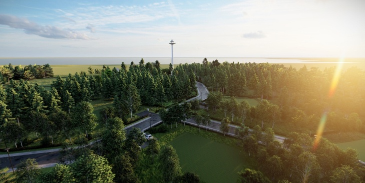 Home place with roads in forest